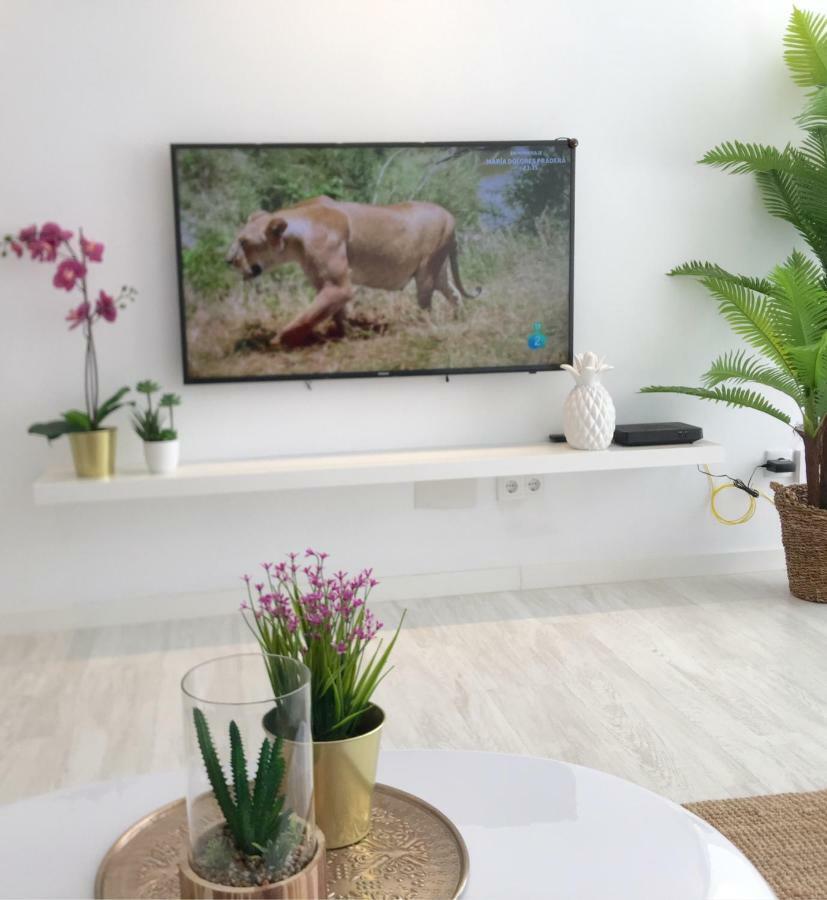 Stunning Spacious City Apartment With Free Parking Málaga Exterior foto